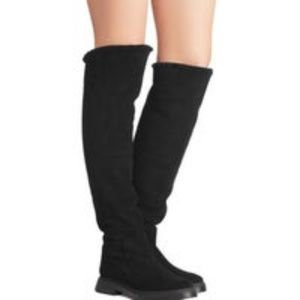 NIB Stuart Weitzman Luiza chill boots